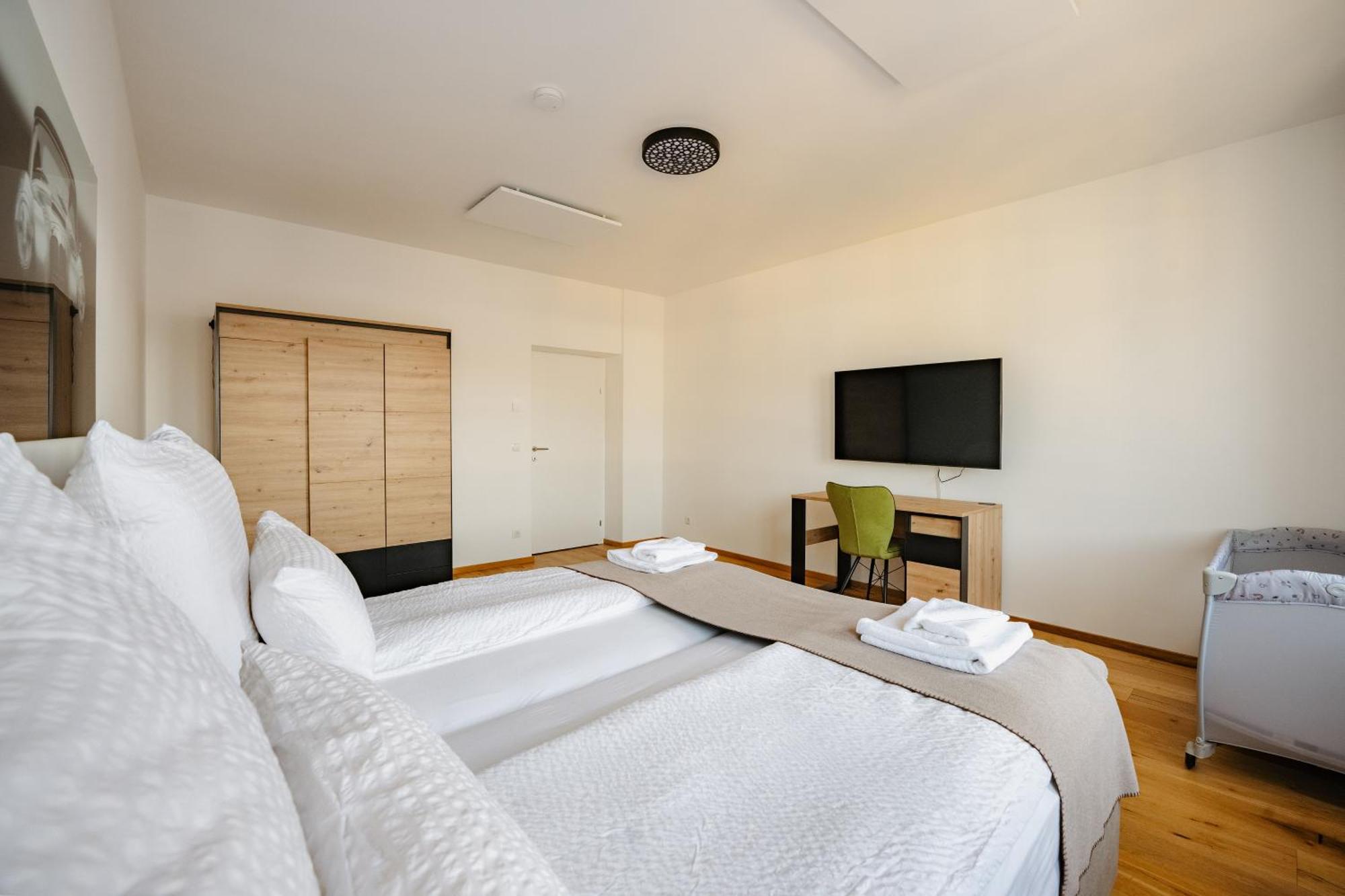 גראץ Tamliving Center Luxury 4 Rooms Smart Tv Kitchen Great View מראה חיצוני תמונה