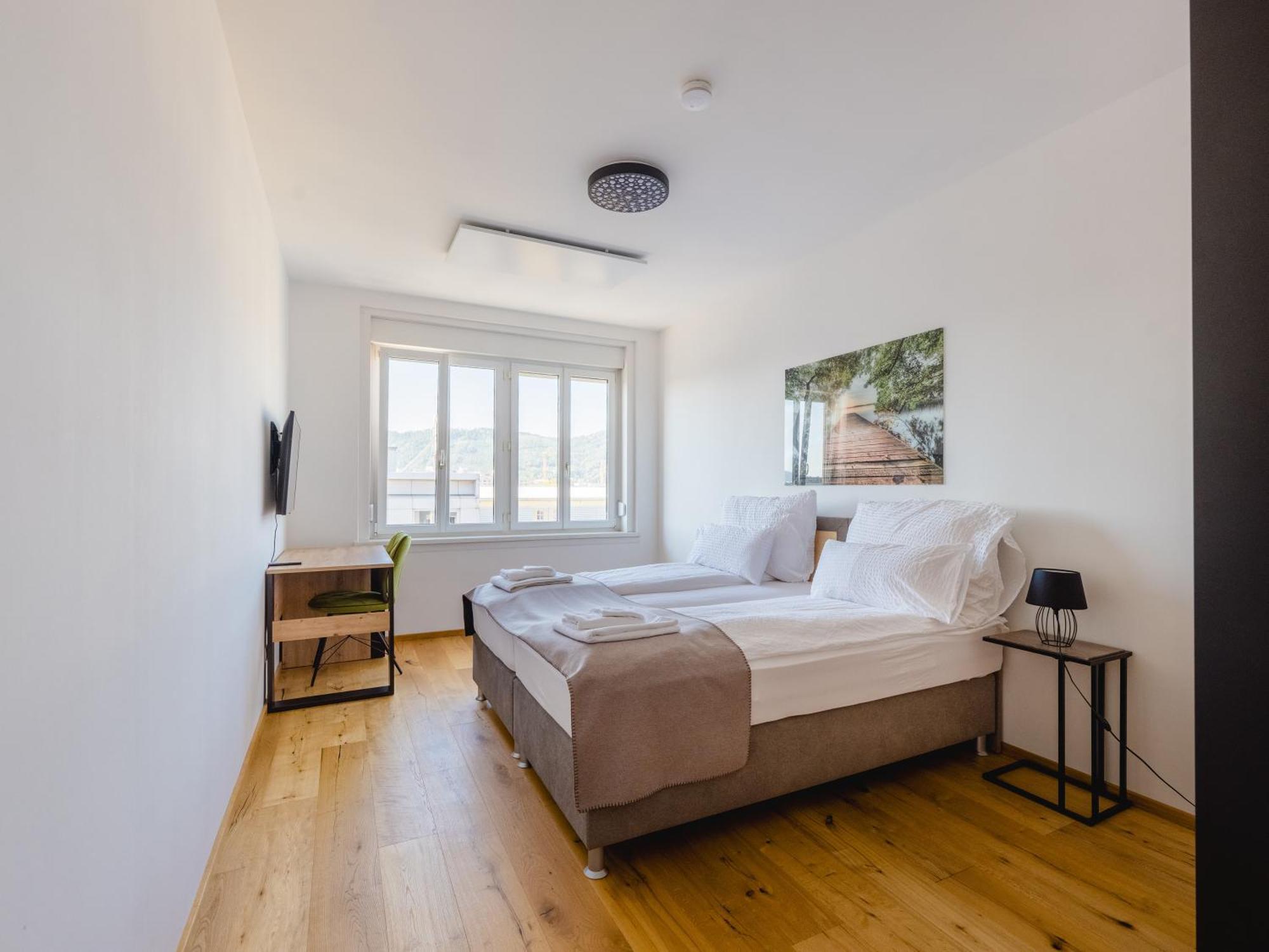 גראץ Tamliving Center Luxury 4 Rooms Smart Tv Kitchen Great View מראה חיצוני תמונה